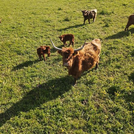 Highland Warmia - Gospodarstwo agroturystyczne Jeziorany Zewnętrze zdjęcie