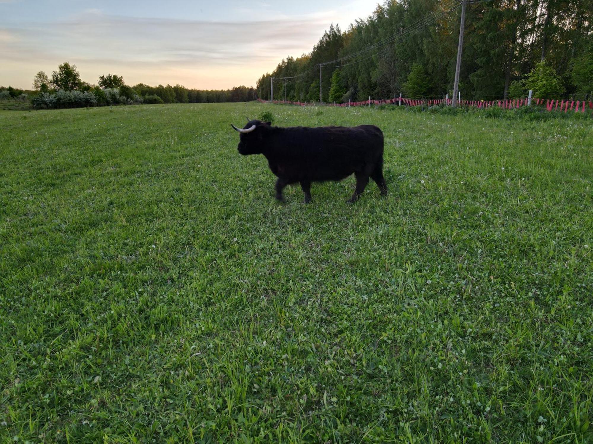 Highland Warmia - Gospodarstwo agroturystyczne Jeziorany Zewnętrze zdjęcie